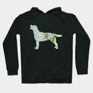 Floral Sheet Music - Dog Hoodie